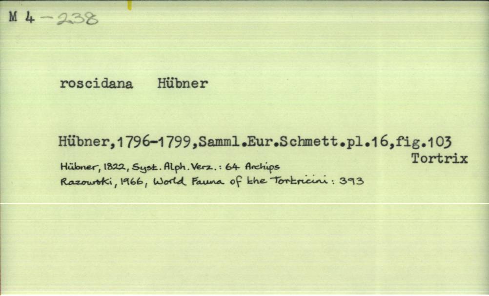 front of card